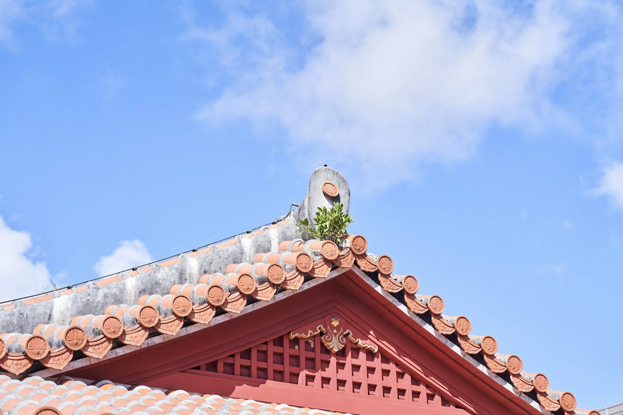 Okinawa | Shuri Castle Tour — Deeper Japan